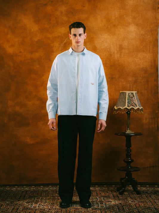 Light Blue Striped Shirt